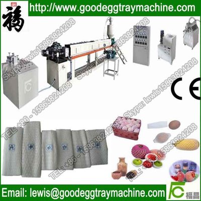 Fruit or vegetables packaging Net Production Line