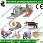 EPE monitor protective film/sheet production line