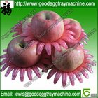Plastic Crown petal for fruit packing
