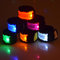 Hotsale Christmas Gifts Reflective Led Armband Flash Armstrap for party and outdoor sport supplier