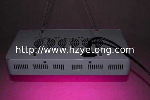 Plant Grow Light