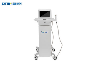 Portable Fractional RF Microneedle Machine For Stretch Marks Removal supplier