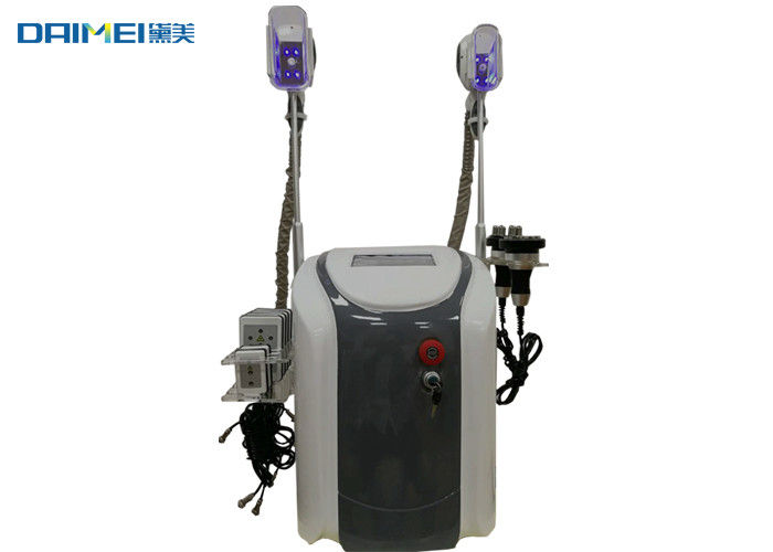 Multifunctional Cryolipolysis Slimming Machine / Cryo Fat Freezing Machine supplier