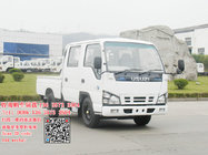 Isuzu 600p cargo truck price mini cargo truck