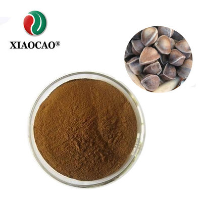 China Top quality natural Moringa extract powder seeds extracted brown powder ISO factory  free sample supplier