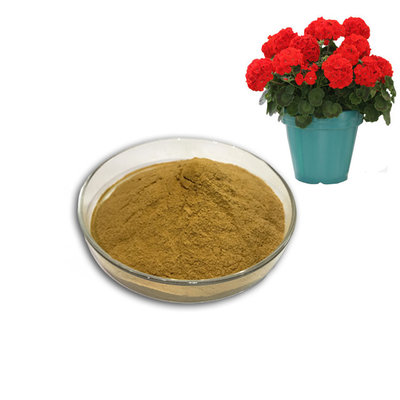 China Pelargonium sidoides extracts ISO factory pure 100% Natural pelargonium sidoides extract powder supplier