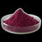 100% natural Elderberry extract purple powder for immunity enhancing supplier