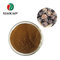 Top quality natural Moringa extract powder seeds extracted brown powder ISO factory  free sample supplier