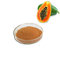 ISO factory 100% natural organic Papaya fruit powder and Papaya extract powder free sample supplier