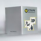 Paper Card Type Promotional Video Brochure 1024x600 Pixel With Hi Fi Speaker