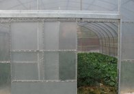 Film Greenhouse Single tunnel model