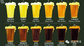 Commercial Beer Brewing Equipment 10HL, 20HL, 30HL, 40HL, 50HL Beer business supplier