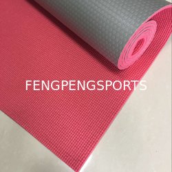 Laiwu Fengpeng Sports Company