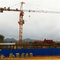 Capacity 6tons Qtz100 (TC6510C-6) Building Construction Tower Crane supplier