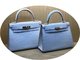 Himalayan Bag Women's Crocodile Leather Women's Bag 2022 New Luxury Brand Leather Bag Hand-Held Platinum Bag