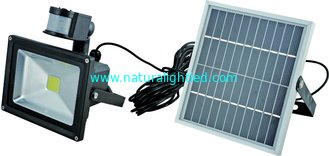China solar led lighting with microwave motion sensor supplier
