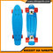 Fish Style Skateboard,Customized Longboard Skateboard CE Approval