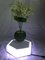 new christmas gift magnetic floating levitation air bonsai potted plant trees