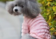 Custom Made Bullmastiff / Newfoundland Personalized Dog Clothes Shirt For Summer , Size S - XL