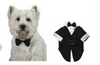 Pet Luxury Wedding Apparel For Dog Formal Wear For Poodle Or Yorkshire Terrier