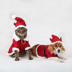 Red Christmas Dog Clothes Winter