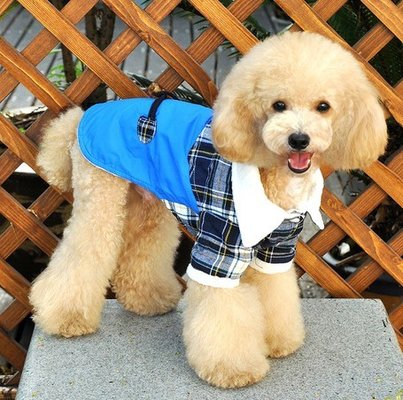 Personalized Europe style Blue Cotton Dog Costume Coat For Large Dogs For PET Warmly / Autumn clothes