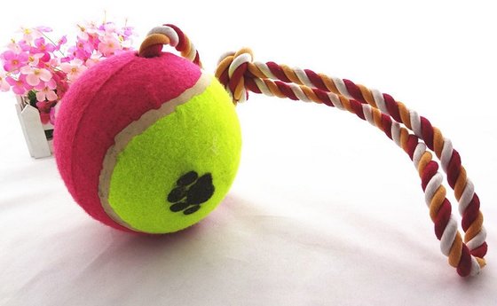 Environment Friendly Party Pets Dog Toys Ball With Rope For Playing & Gift