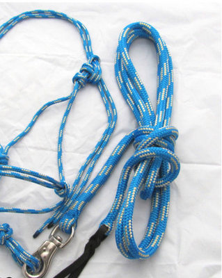 Polyester Double Braided Rope Dog Leash For Dogs , 10 Ft With Low Abrasive