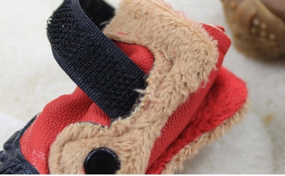 Comfortable Handsome Pet Dog Strap , Sports PET Dog Shoes for Autumn / Winter
