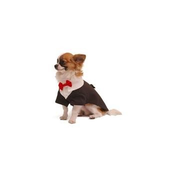 XXSmall Ruff dog tuxedo costume / doggie wedding attire for Chihuahuas
