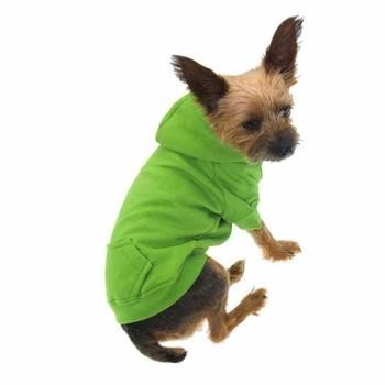 Green Zack & Zoey Hooded Small Breed Dog Clothes Sweatshirts for miniature pinscher