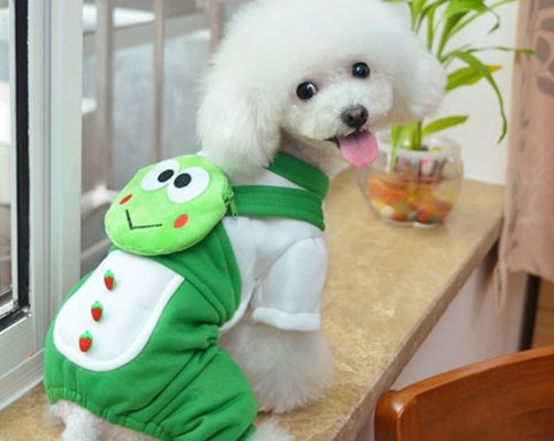 Frog Shaped Winter Cotton medium Dog Clothes With Four Legs for Bichon Frise