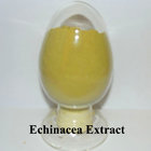 Herb Medicine 100% Natural echinacea purpurea extract in bulk with Cichoric Acid 1%, 2%, 3%, 4%; Polyphenols