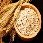 organic avena sativa extract powder --Avena fatua L./oat extract nutrition