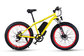 1000w Felt Motor Electric Fat Bike 30-45km/H With 26x4.0 Fat Tire supplier