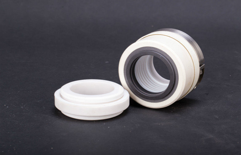 Strong corrosive fluids PTFE Mechanical Seal multi - spring  WB2 type