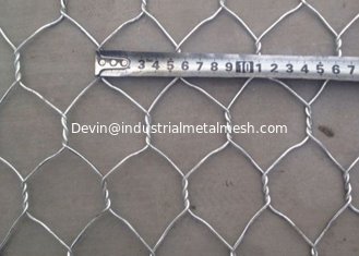 China Pvc Coated&amp;Galvanized Hexagonal Wire Mesh From China/Hexagonal Chicken Wire Mesh/Hexagonal Wire Mesh 10mm supplier