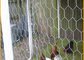 Low Cost Pvc Garden Hexagonal Wire Mesh Fence Hot-Galvanized Chicken Wire Fence Lowes supplier