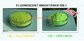 High qualtiy Fluorescent Whitening Agent OB-1 Greenish for masterbatches industry supplier