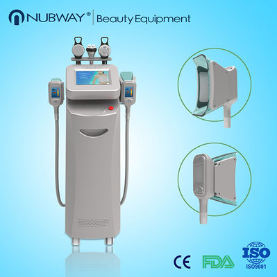 high quality cryolipolysis,fat dissolving cryolipolysis,effective cryolipolysis equipment