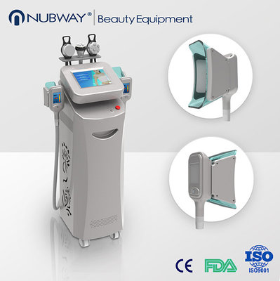 2017 Top Selling fat freeze Cryolipolysis Liposuction Machine for sale