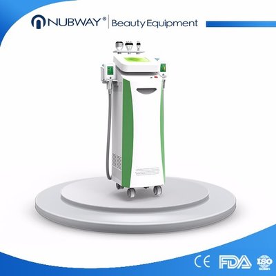 Beauty Equipment Cryolipo fat freezing+rf+cavitation cryolipolysis weight loss machine