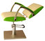 Green Reclining Backrest Salon Style Chairs Aluminium Armrest With 23.5&quot; Width supplier