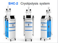 2016 cryolipolysis machine,6 handles cryolipolysis&cavitation rf,criolipolisis/cryotherapy