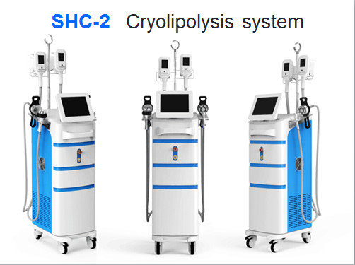 2016 hot sell cryolipolysis body slimming machine/ best cryolipolysis machine