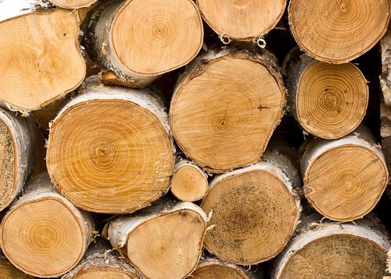 China Romanian Beech Wood Timber Supplier supplier