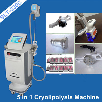 China Cryolipolysis Cavitation Lipo Laser Body Sculpting Machine , Vacuum Slimming Equipment supplier