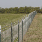 Field Fence|Wire Farm Fence by Hot Dipped Galvanized Wire for Cattle/Deer