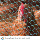 Chicken Wire Mesh|Florist Hex Netting 13~50mm Mesh Size for Building or Poultry