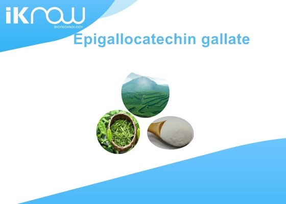 EGCG Powder Green Tea Polyphenols For Cosmetics Field CAS 989-51-5